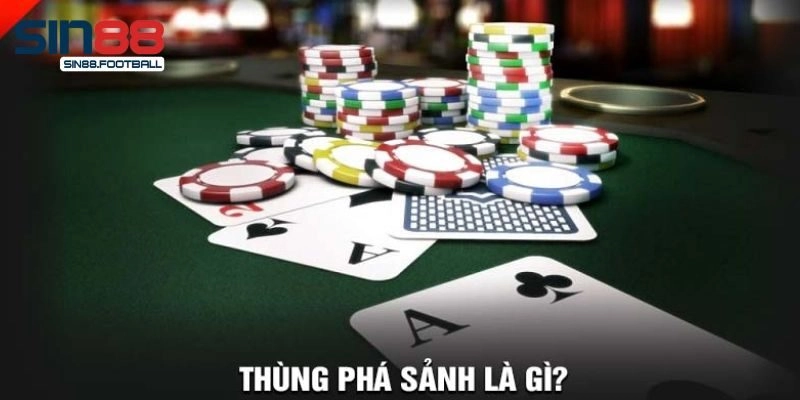 Thùng Phá Sảnh Sin88 - Mọi Thông Tin Quan Trọng Bạn Cần Nắm Rõ
